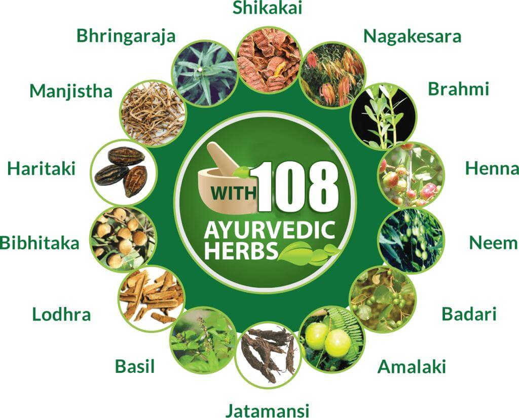 Neelambari Hair Oil With Herbal Shampoo Combo Pack 250 ML - Sri Neelambari Adivasi Hair Oil