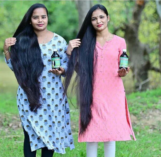 Neelambari Hair Oil With Herbal Shampoo Combo Pack 500 ML - Sri Neelambari Adivasi Hair Oil